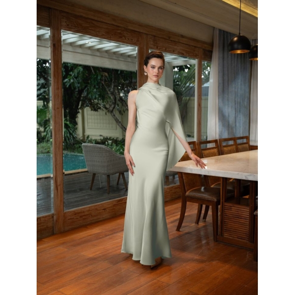 Elegant Evening Dress